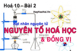 Điện tích hạt nhân, số khối, nguyên tử khối trung bình của nguyên tố hoá học - hoá 10 bài 2